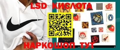 прущие крисы Владимир