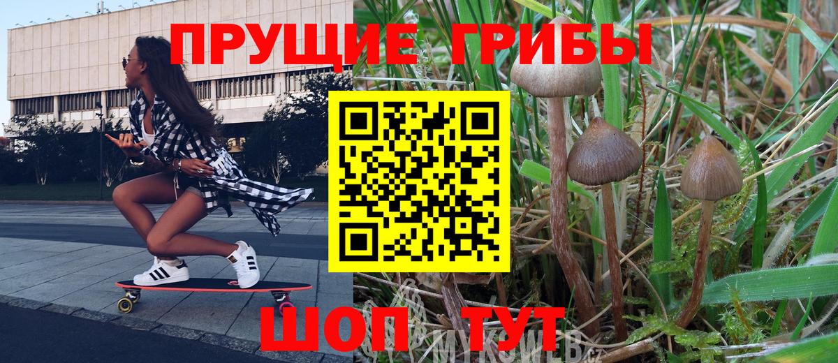 Благодарный  Псилоцибиновые грибы GOLDEN TEACHER  Вход с VPN 
