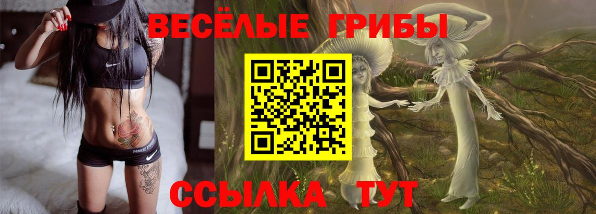 Псилоцибиновые грибы MAGIC MUSHROOMS Благодарный